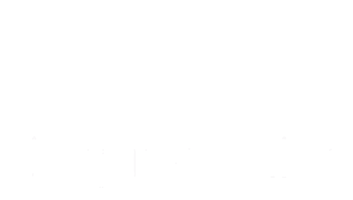 Shaping Sales